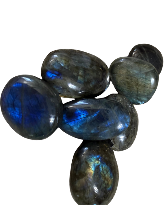 Seven polished labradorite gemstone palm stones with a shimmering blue, green, and gray iridescent finish, arranged on a plain white background.
