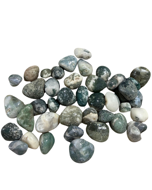 Tumbled Tree Agate